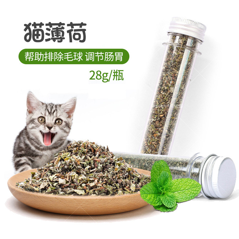 Catnip hair removal ball Clean mouth mint grass bottle 28g Catnip conditioning stomach and stomach to help digest cat snacks