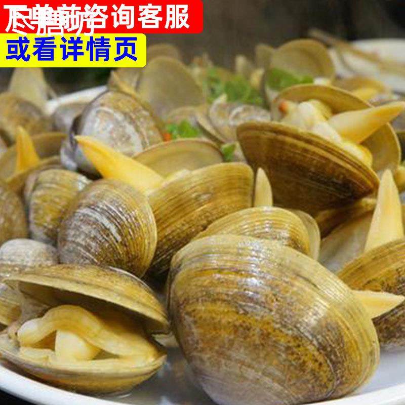 沈阳海鲜花蚬子，一斤装无沙美味，鲜美不可挡！?-扇贝-淘宝好物网