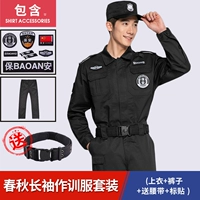 Пружина и осенняя вершина+брюки+логотип (ремень доставки)