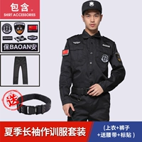 Летний топ + брюки + логотип (подарочный ремень)