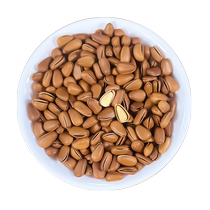 Northeastern large pine nuts 250g bagged open pine nuts large particles natural rosin crispy easy to peel wild pine nuts