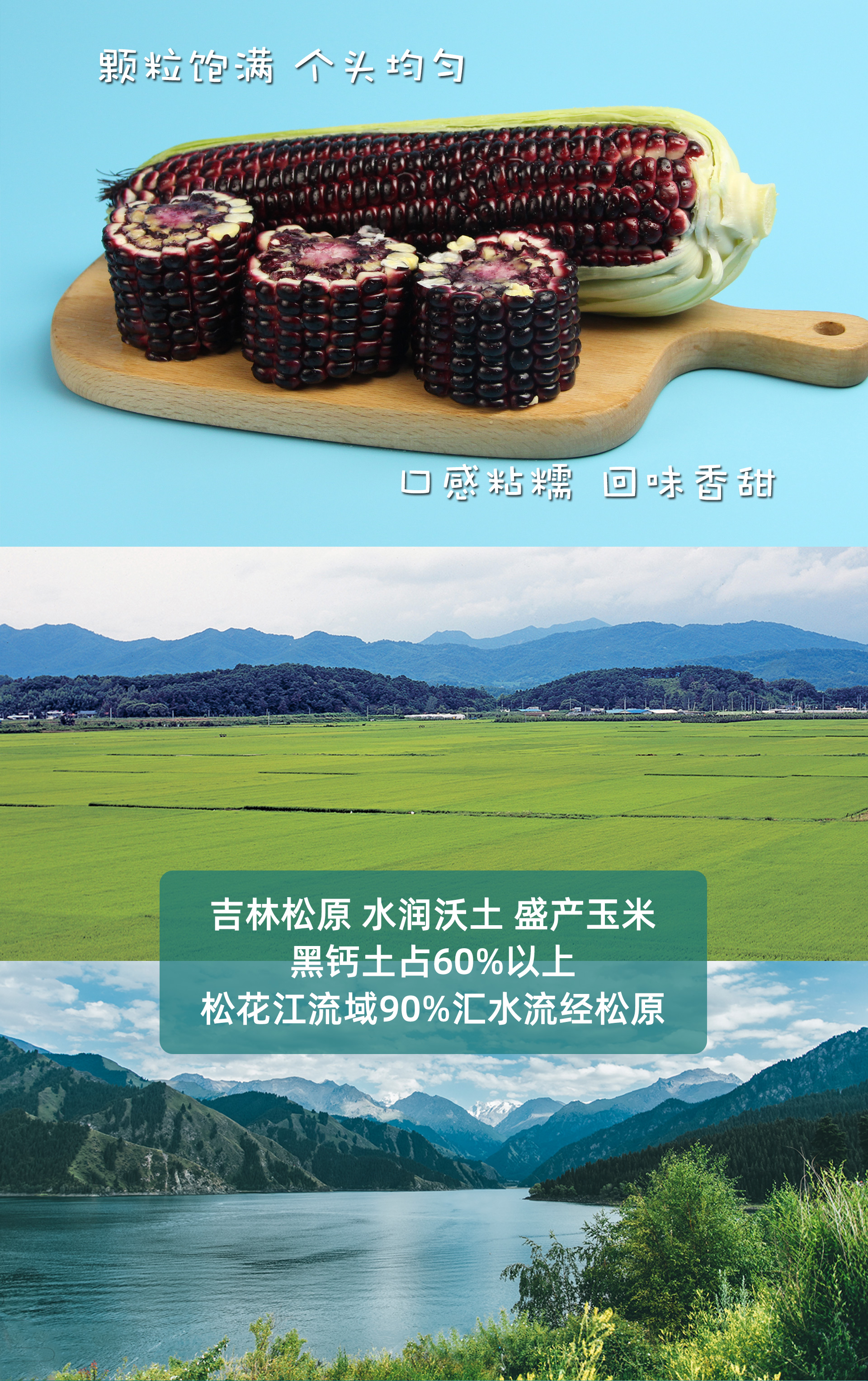 园侬鲜 21年 即食非转基因黑玉米 软糯带甜 8根4斤 真空包装 图3