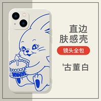 Прямая сторона TPU-Antique White-Tly5792newjeans кролик