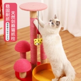 В год лазания тигровой кошки, кошачья кошачья кошачья кошачья полка кошка захватывает столб маленький меч -Платформа прыжков.