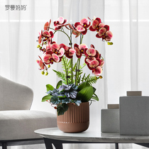 Duoxin simulation flower Phalaenopsis floor potted indoor living room desktop placement flowers Nordic high-end decorative ornaments