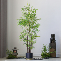 Nordic ins simulation green plant potted large simulation bamboo landscaping plant indoor landscape window ornaments decoration