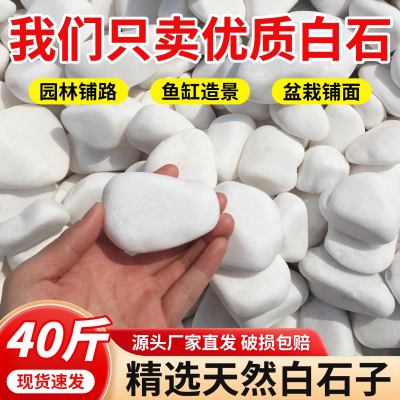 20kg White Stone Large Pebbles, Washed Stone for Courtyard Paving, Garden Potting, Fish Tank Decoration, White Stones