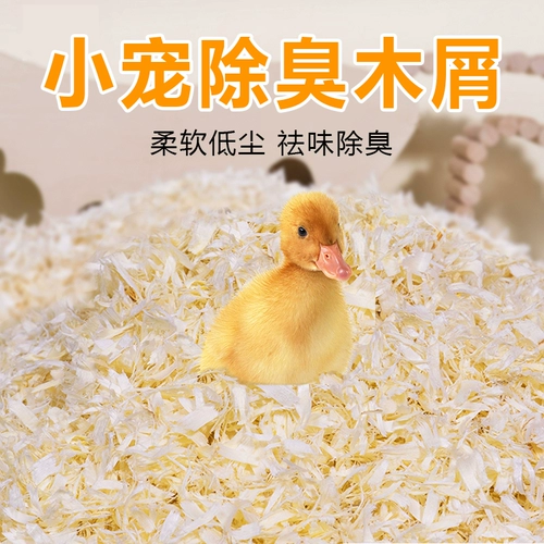 Керри утка непослушные прокладки, ферментированные петушиные утки, утят, утят, фекалии, моча, вонючие деревянные пельмени куриные кадки клетки