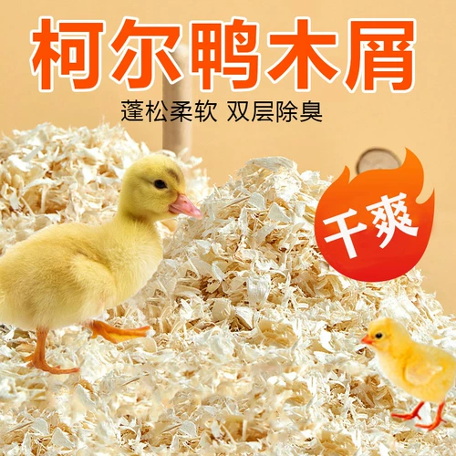 Керри утка непослушные прокладки, ферментированные петушиные утки, утят, утят, фекалии, моча, вонючие деревянные пельмени куриные кадки клетки