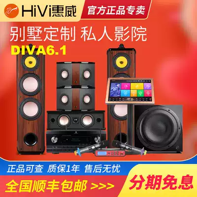 HiVi whiwei Diva 6 1 Home Theater 5 0 audio set living room speaker surround floor double 8 inch