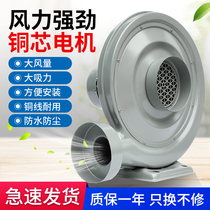 Medium pressure fan 220V woodworking vacuum laser smoke exhaust dust centrifugal blower 380V industrial strong