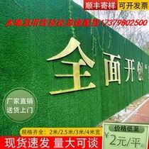 Simulation Lawn Rug Artificial Outdoor Plastic Decorated Football Field Kindergarten Artificial Paving Mat Blanket Enclosed Fake Greens