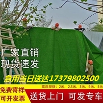Artificial Simulation Lawn Rug Outdoor Fake Plastic Kindergarten Artificial Turf Soccer Field Balcony Paved with Decorative Apron