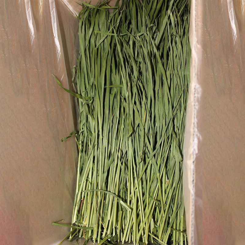 Wheat Grass Drying Wheat Grass Wheat Grass Hay Hay Rabbit Dragon Cat Guinea Guinea Pig Grass 1000g Boxes