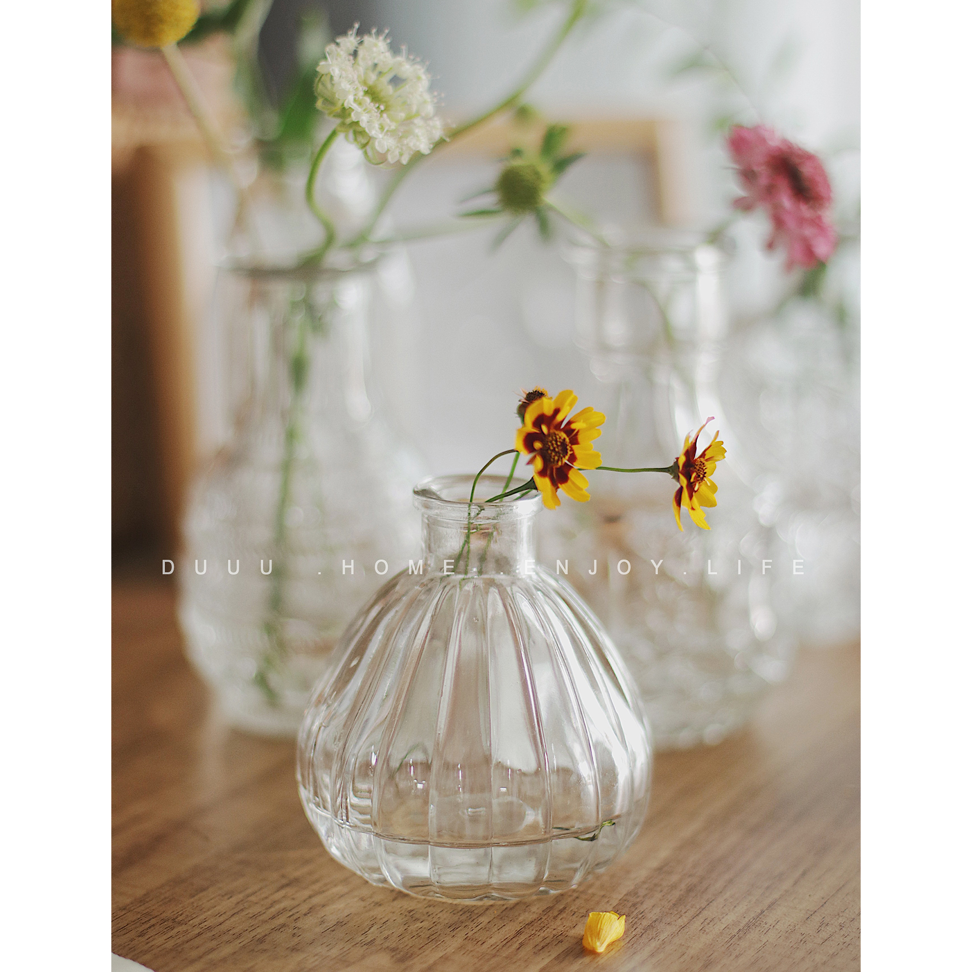 Madrid fine-mouthed small vase retro embossed glass vase European-style countertop small fresh transparent hydroponic aromatherapy bottle
