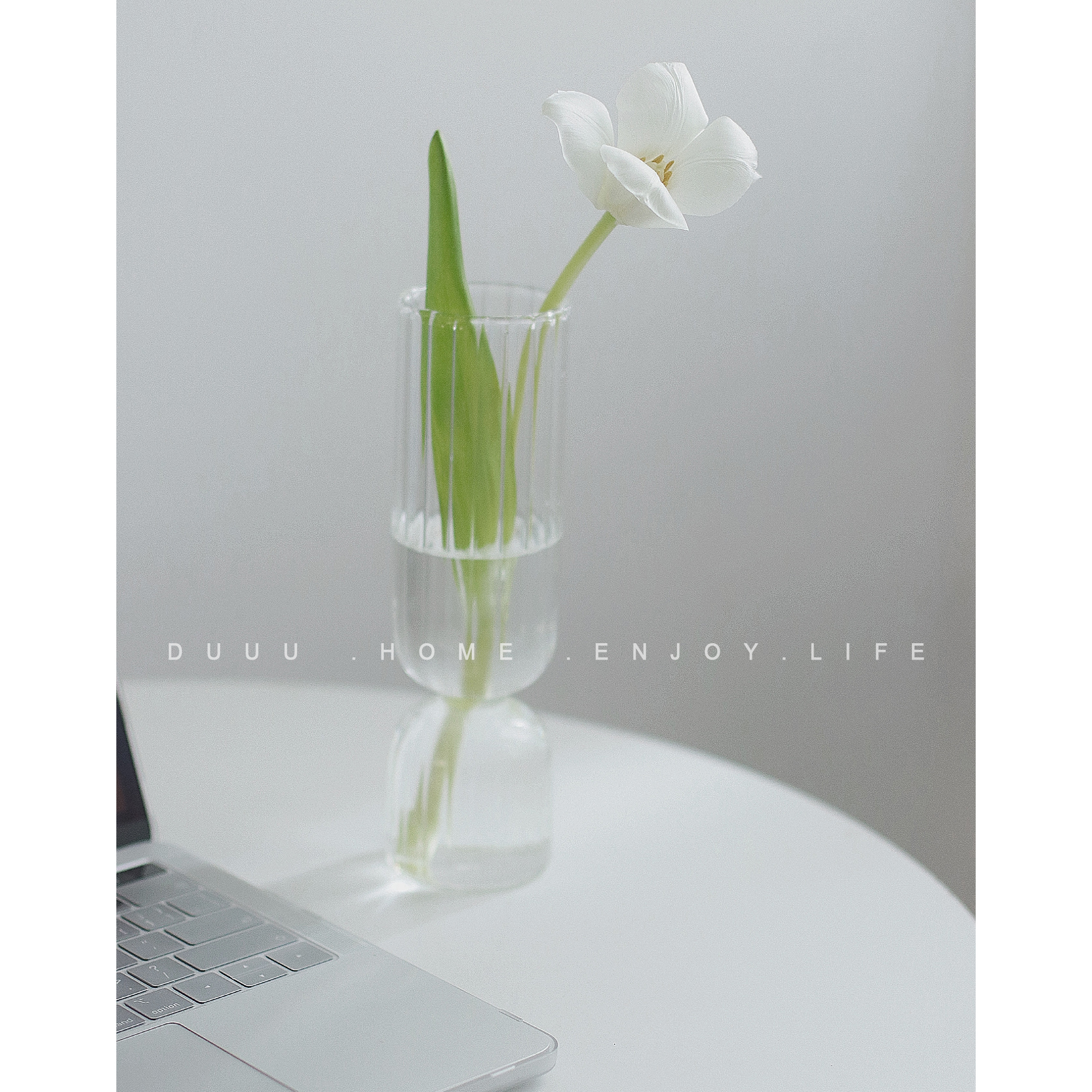 French straight vertical striped tulip perfume cultivation vase Korean ins with the same flower shop niche decoration photo props