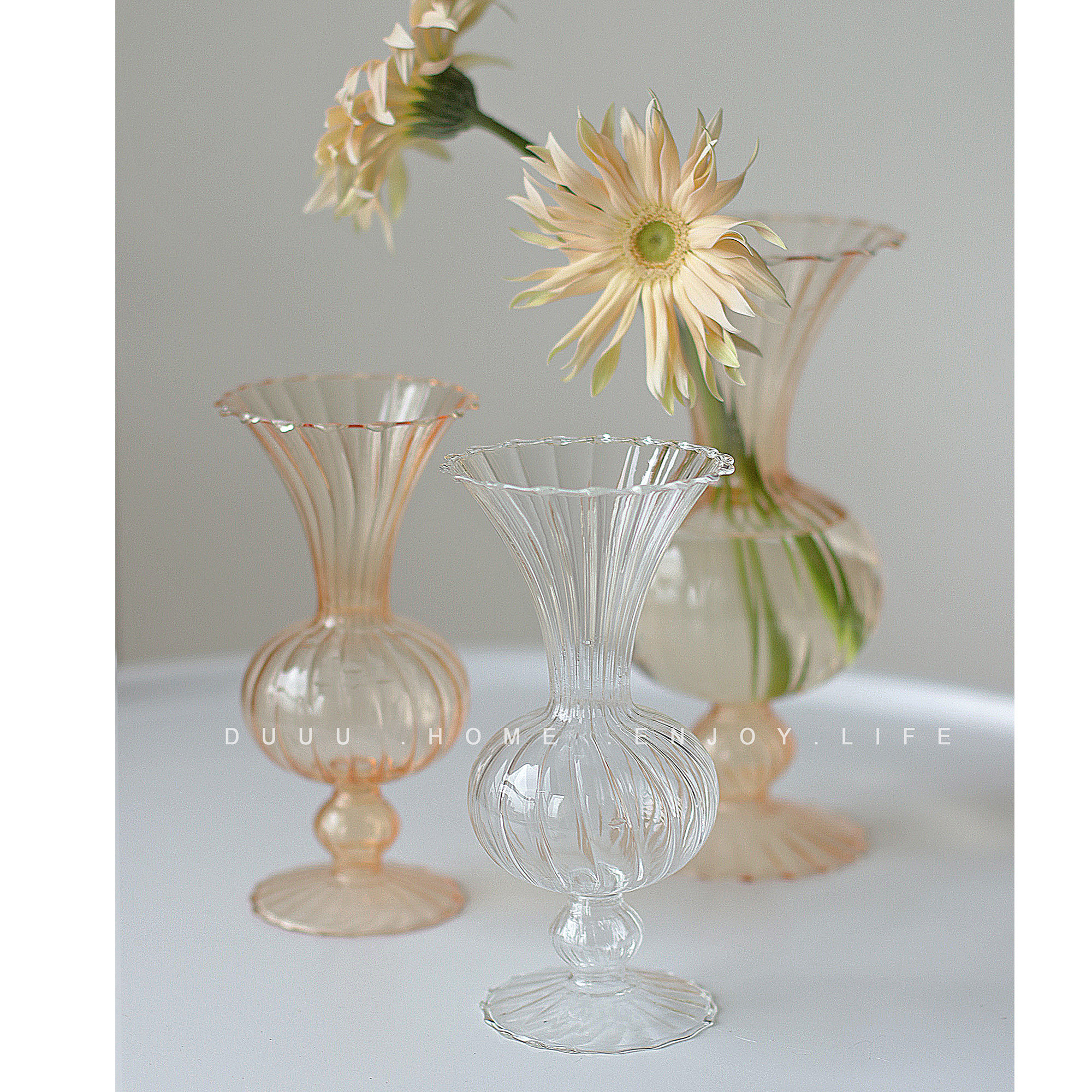 Retro creative threaded glass vase ins French hydroponic transparent lace striped net red homestay decoration decoration