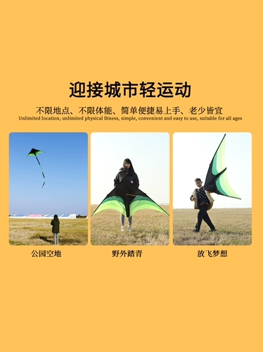 Большой воздушный змей для взрослых, коллекция 2022, популярно в интернете