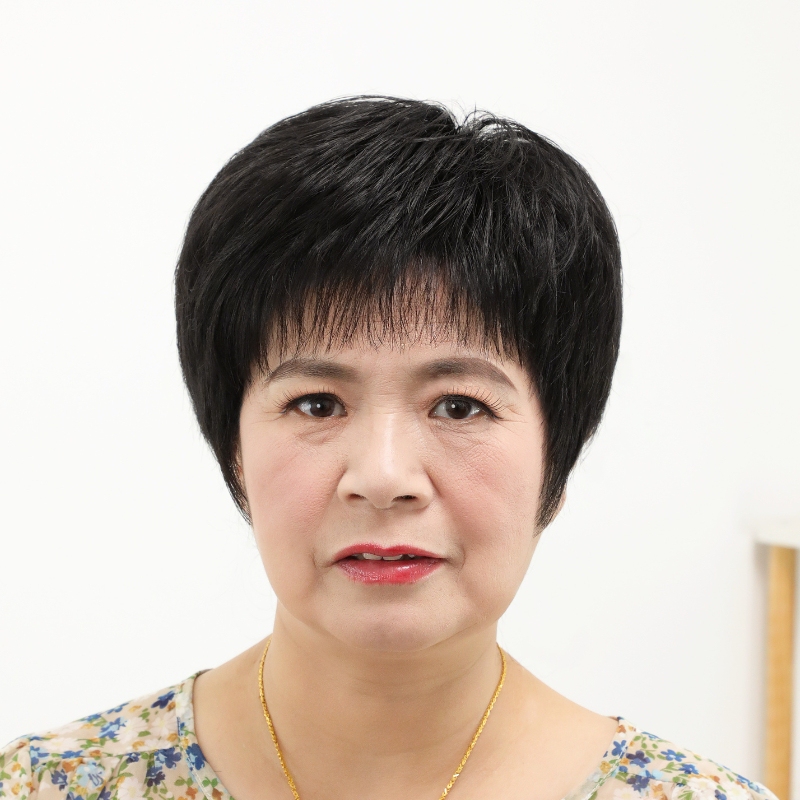 Wig for Women, Full Head Cover, Short Hair for Middle-Aged and Elderly Mothers, Covers Gray Hair, Real Human Hair, Fluffy and Natural, Full Head Coverage