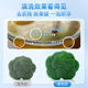 Danshengyuan Fruit and Vegetable Cleaner Eggshell Fruit and Vegetable Cleaner ການຖືພາແລະເດັກນ້ອຍ ການກໍາຈັດສານຕົກຄ້າງຂອງຢາຂ້າແມງໄມ້ Fruit Cleaner Fruit and Vegetable Powder