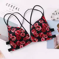 Большой красный цветок большие красные цветы