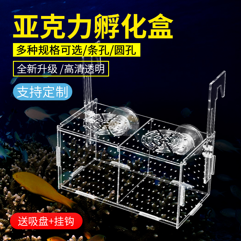 Fish tank isolation box peacock fish breeding box transparent acrylic hatching box turtle small tropical fry juvenile production room