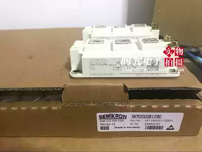 SKM400GB128D SKM300GB128D SKM200GB128D SKM400GB123D SKM400GB