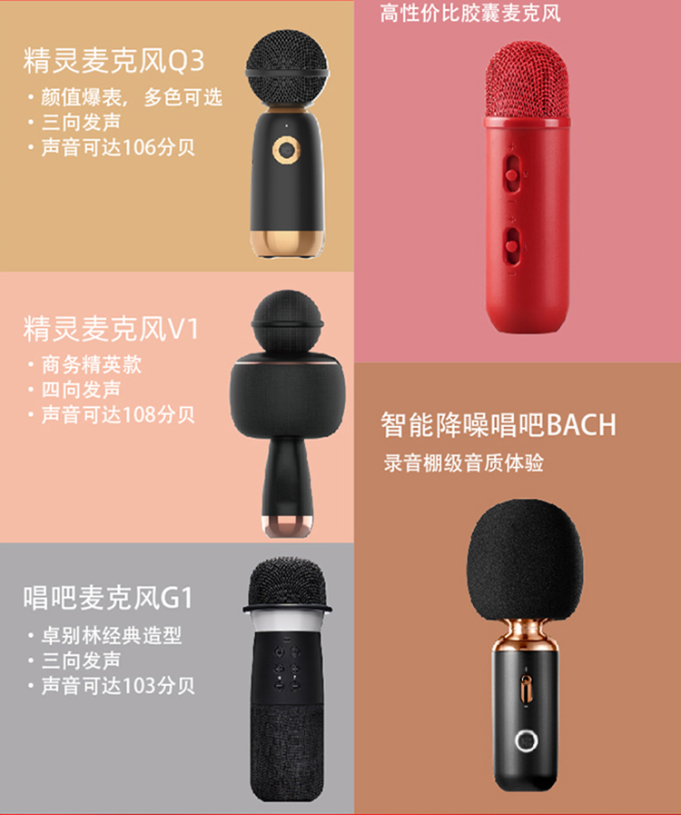Changba G2 Big Egg Changba Microphone Wireless Professional