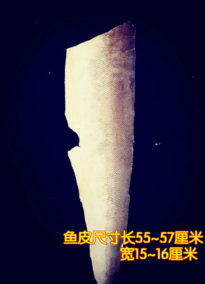 Great Maha Fish Leather Fish Leather Painting Raw Material DIY Fish Leather Handmade Fish Leather Clothing Design Fish Skin Material