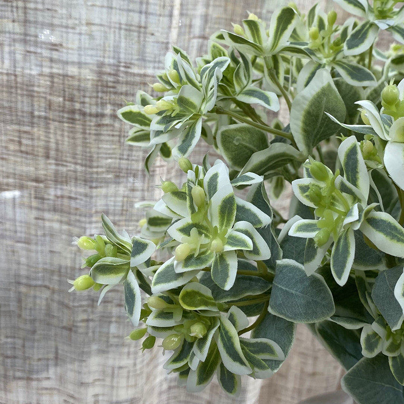 Yuhan alpine snow-proof real flower fake flower simulation green plant silver edge emerald home decoration flower living room decoration bouquet