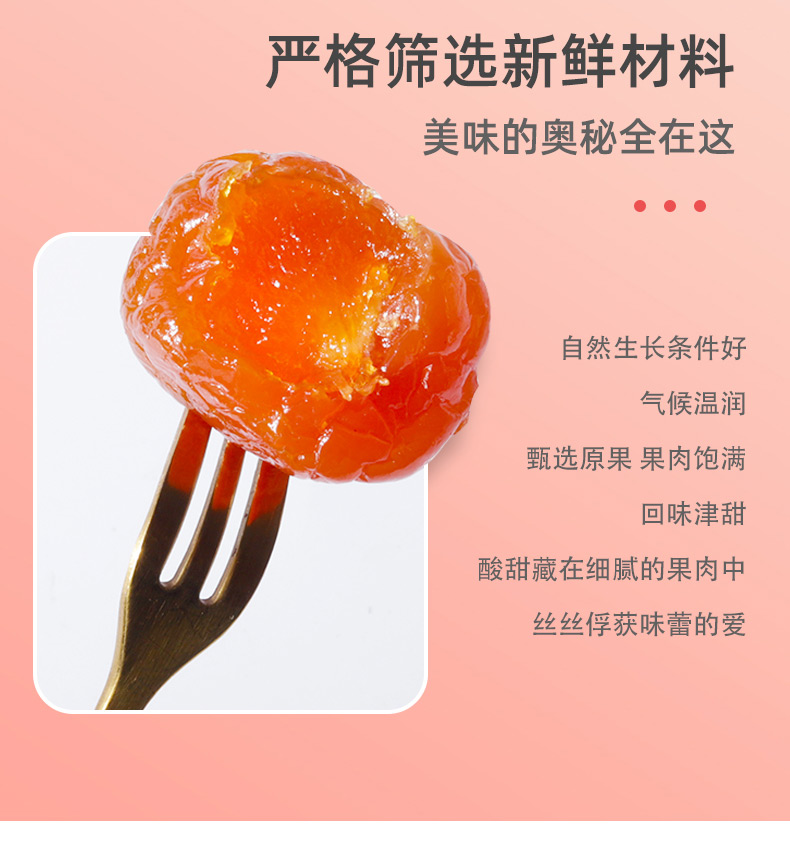 首单+凑单【400g】小渔翁蜜饯果脯话梅