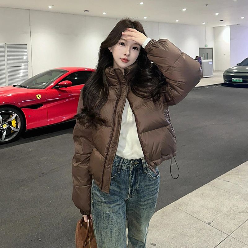90% White Duck down Jacket for Women, Thickened, 2026 Autumn and Winter New Style, Versatile, Petite, Stand Collar, Warm, Short Coat