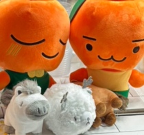 1 Yuan shoot don’t shoot randomly