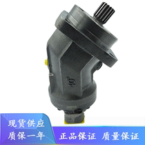 Replacement Rexroth A2FM160 61W-VAB010 AB020 BB010 BB020 Piston pump