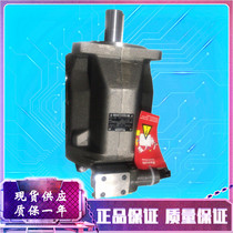 Replacement Rexroth A10VSO140DGDRDRGDFRDFR1DFLR-PPB12N00 Piston pump