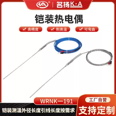 Famous K-type high-precision probe type armored thermocouple WRNK-191 flexible monitor J-type temperature sensor