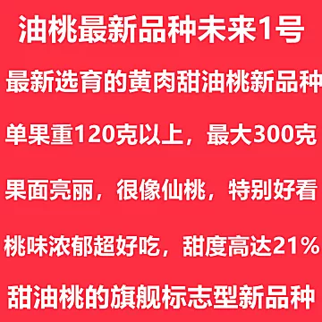 【净重5斤】现摘山东脆甜黄心大油桃[10元优惠券]-寻折猪