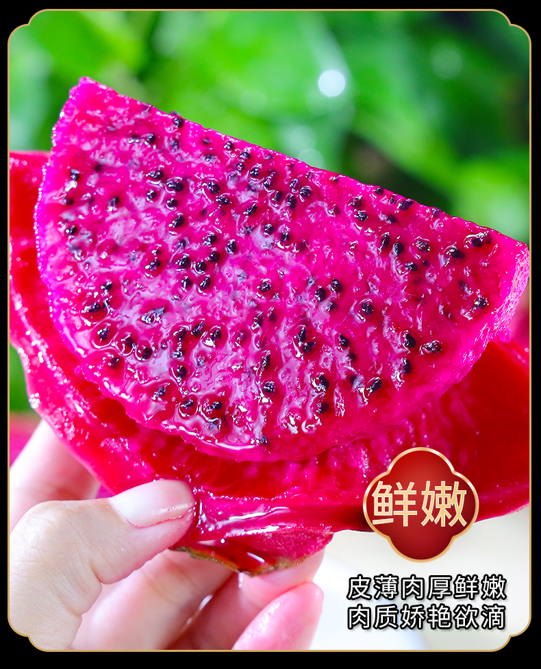 海南金都一号红心火龙果5斤装大果