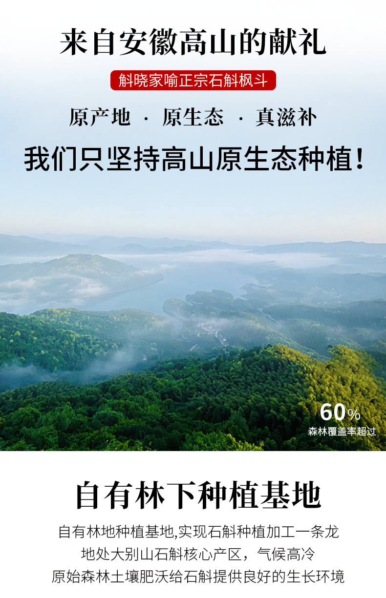 国家地标产区，野外5年生：10g 斛晓家喻 特级霍山铁皮石斛枫斗 14.9元起包邮 买手党-买手聚集的地方