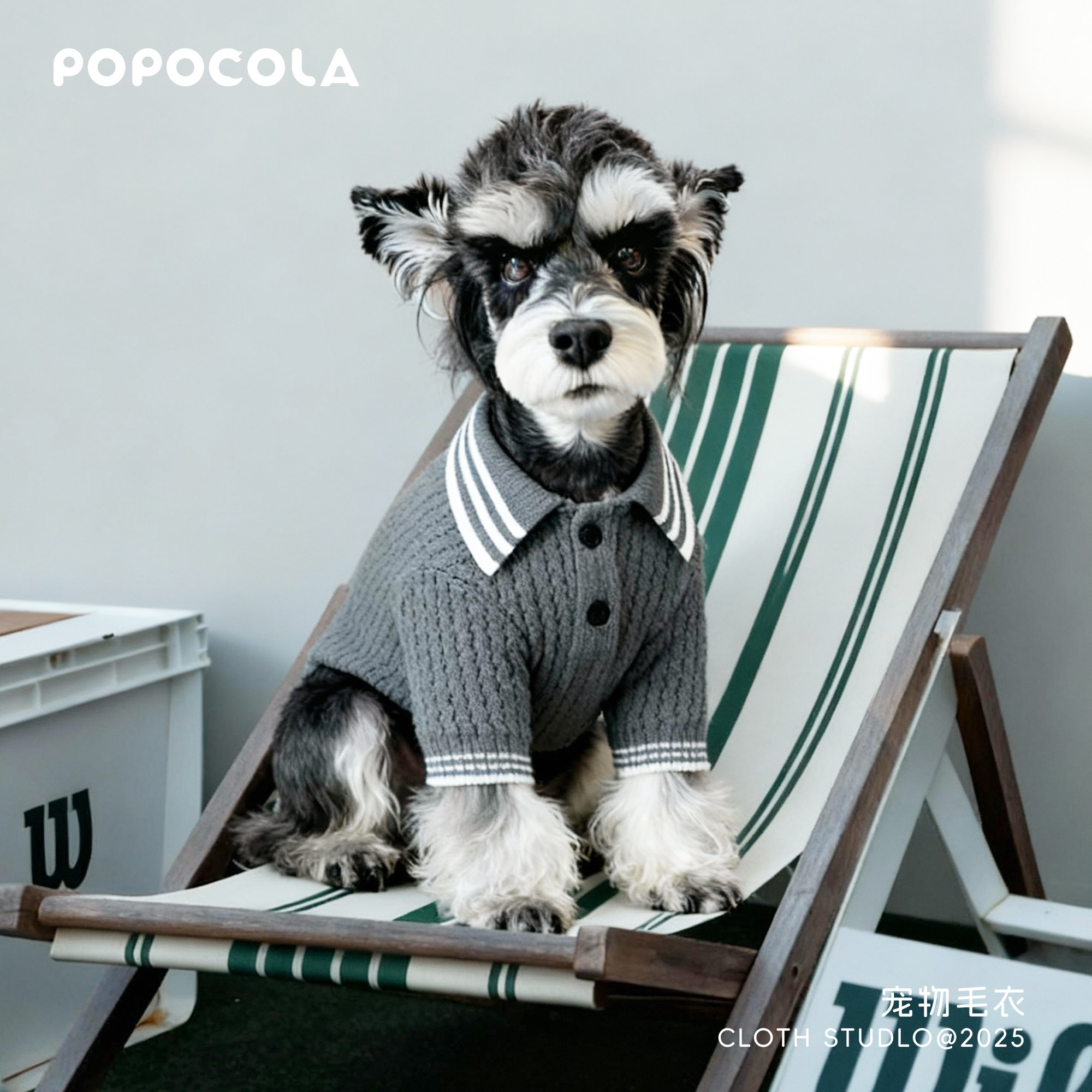 Fall and winter must-have for pets, recommended as a handy gadget for ...