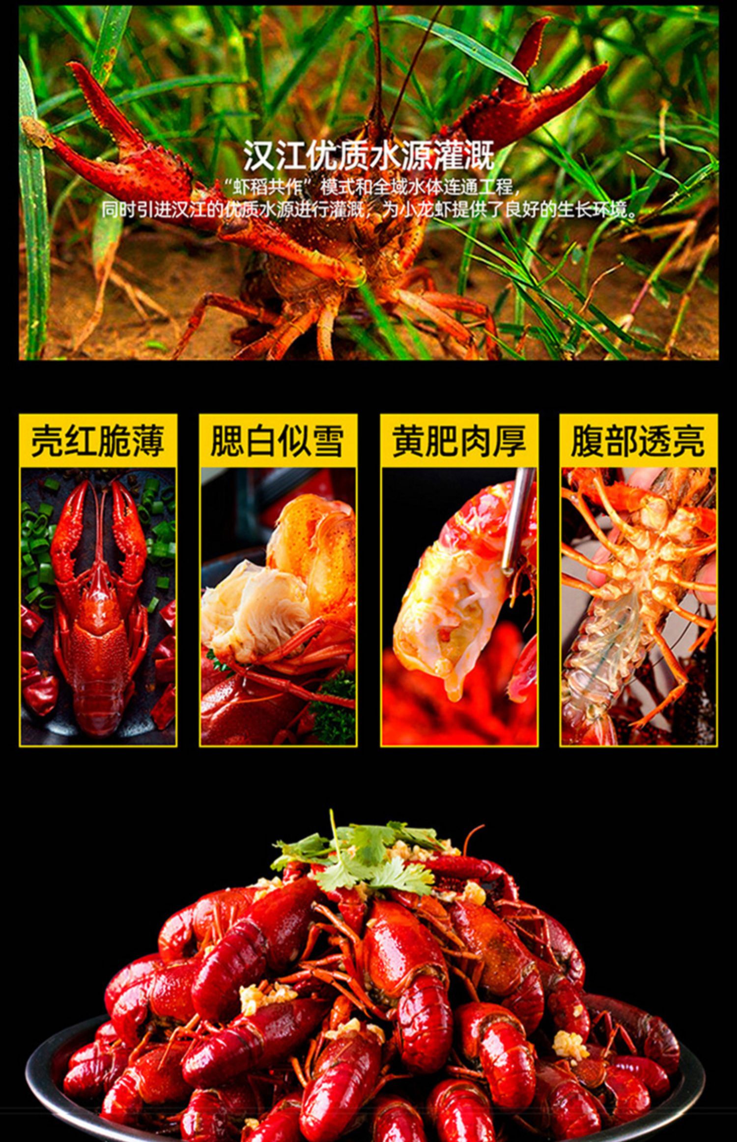 【好帮手】加热即食麻辣小龙虾750g*2盒