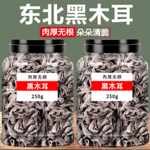 Northeastern specialty black fungus special grade wild dry goods authentic zhashui basswood small bowl ear autumn fungus wholesale non-500g