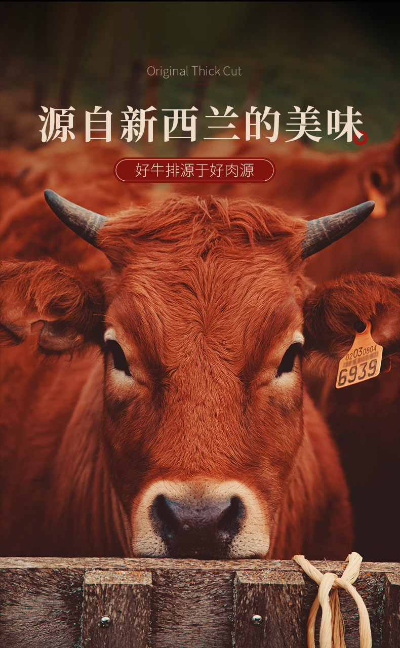 多味坊 黑椒牛仔骨 牛肋排雪花牛肉 1600g 图7