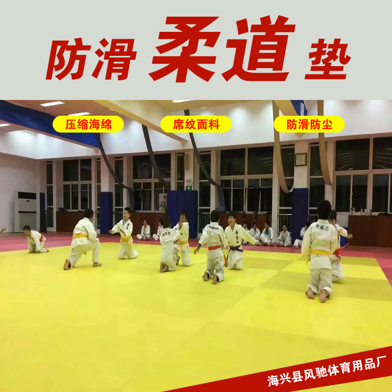 Judo mat Professional competition training Fighting Martial Arts Sanda Boxing Jiu-jitsu Dojo Taekwondo Wrestling mat Mat
