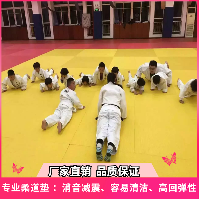Judo training mat anti-slip wrestling mat jiu-jitsu martial arts sanda flip fighting match mat dance mat can be customized