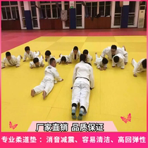 Judo formation mat Anti-slip Lutte Mat Flexo Martial Arts Scattered air-tournant Fight Cushion Dance Mat personnalisable