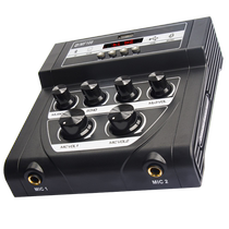 Reverberator double McCalla ok tuning USB flash drive Bluetooth receiving audio independent mixing adjustment recording mini