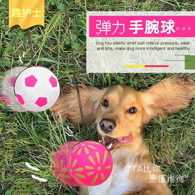 Pet Pooch Toys Kitty Puppies Teddy Puppies Relieving of Biting And Grindle Rubber Balls Wrist Ball Pet Supplies