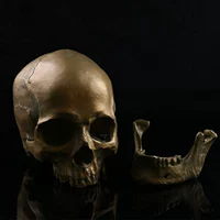 Кофе коричневый KLT-153