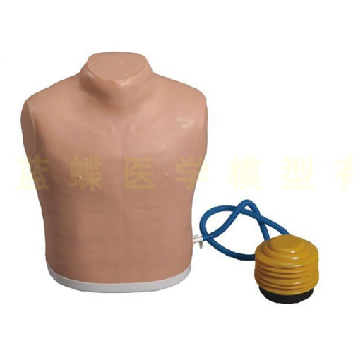 Модель лечения пневмонического лечения, лечение груди, пункция, полуболочная плесень Медицинская модель Медицинская модель Медицинская модель Медицинская модель